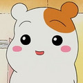 翟梓倩