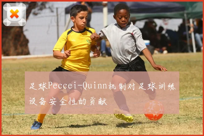 足球Peccei-Quinn机制对足球训练设备安全性的贡献