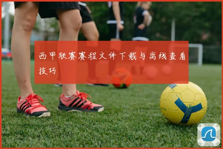 西甲联赛赛程文件下载与离线查看技巧