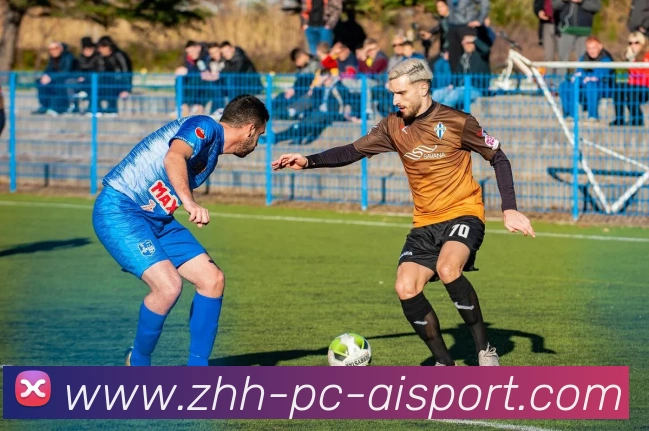 爱体育平台生态图